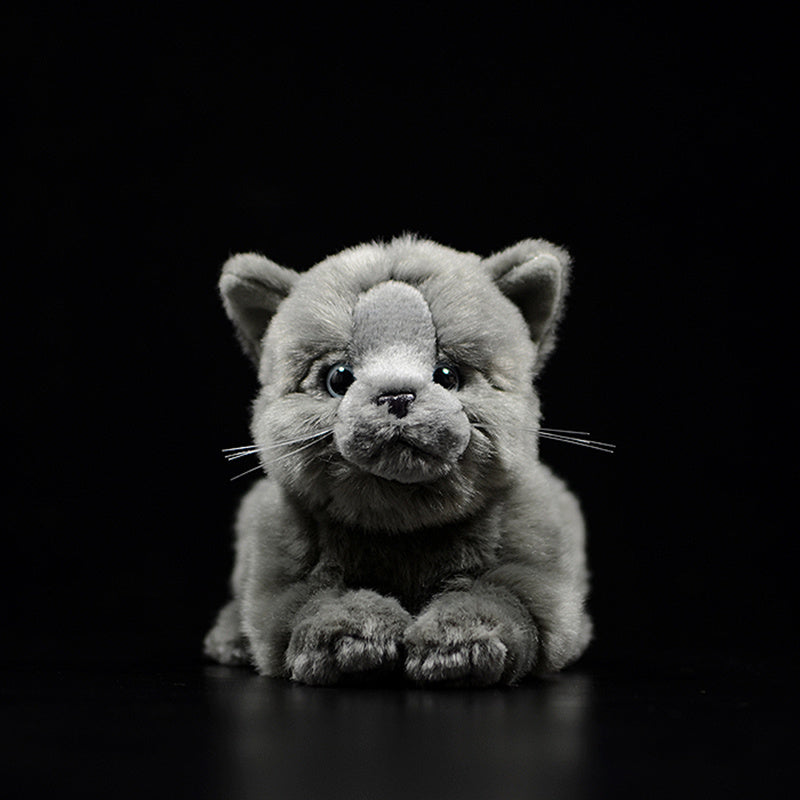 Cute Doll Simulation Cat Plush Toy